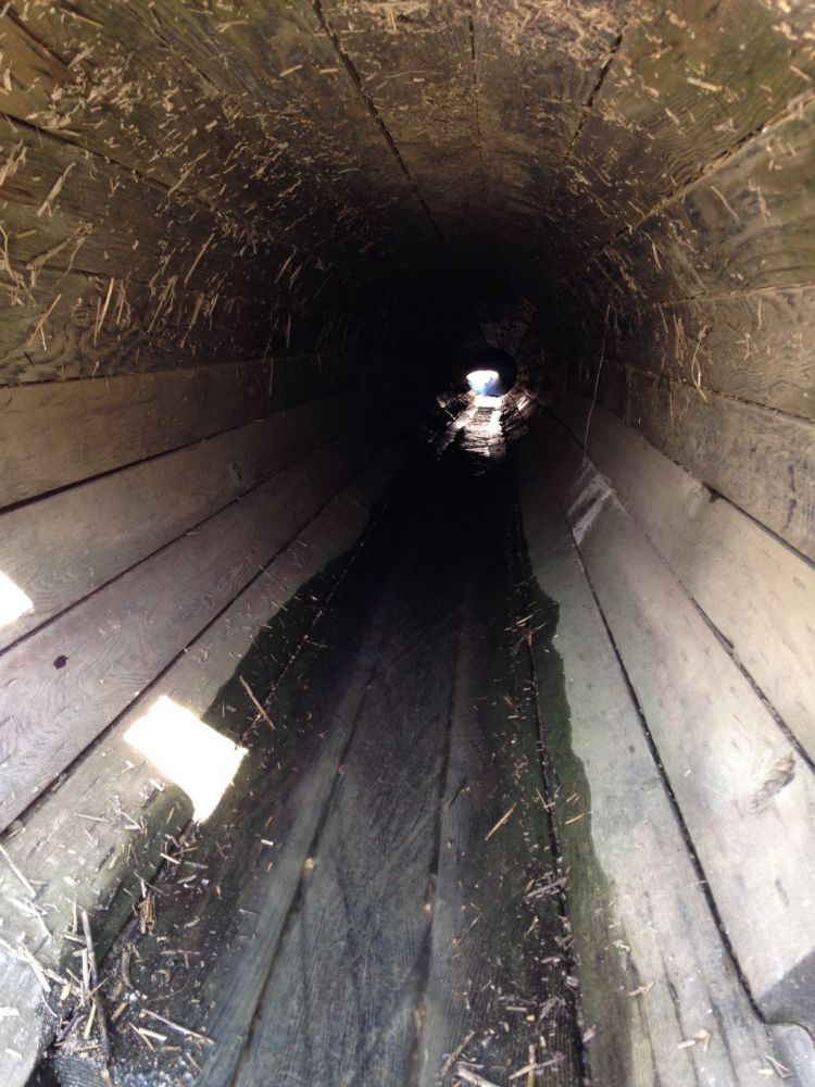 wooden_culvert_inside_view.jpg