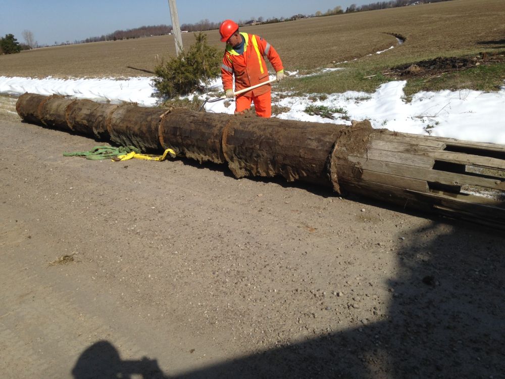 wooden_culvert_unearthed_-_Lakeshore.jpg